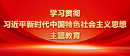 美女白虎被草视频学习贯彻习近平新时代中国特色社会主义思想主题教育_fororder_ad-371X160(2)